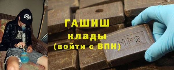 стаф Алзамай