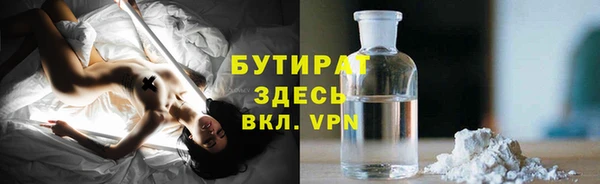 стаф Алзамай