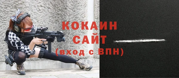 стаф Алзамай