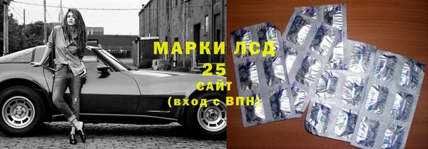 прущие грибы Алексеевка